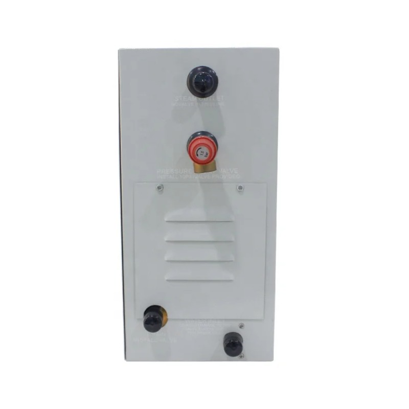 Steam Room Machine Steam  Stea - Spa Wellness Gym 리뷰 및 가격